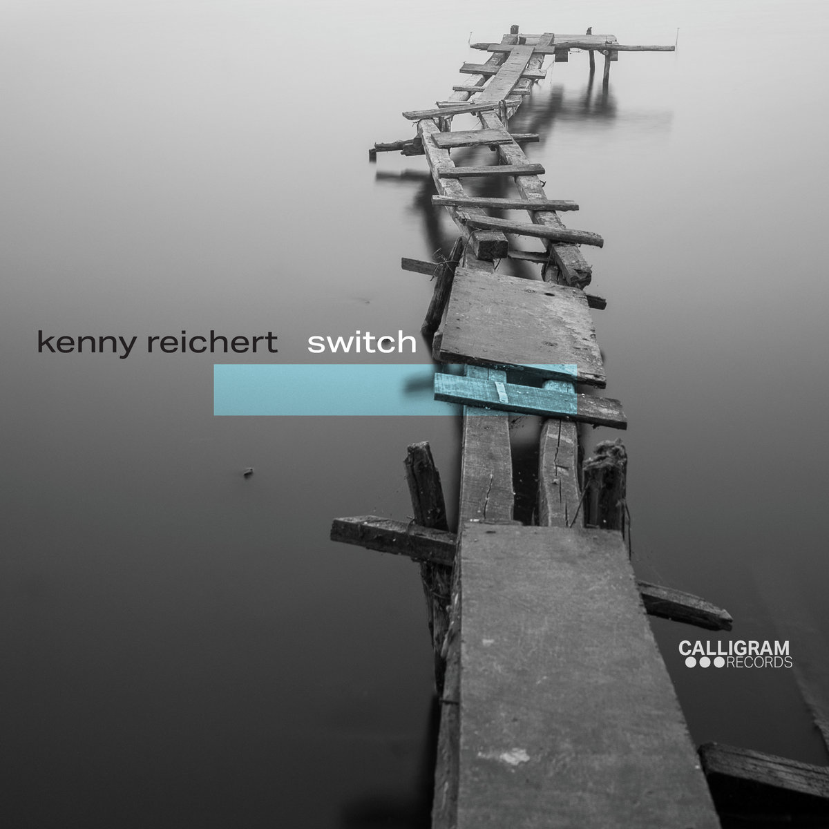 Kenny Reichert - Switch